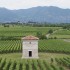 5 vinoplevelser i Norditalien