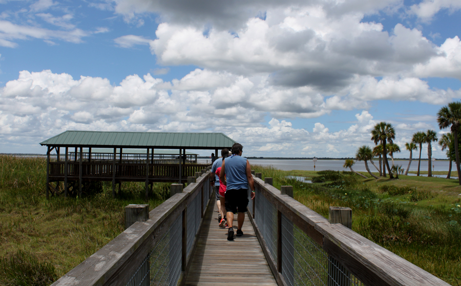 Explore the wildlife park