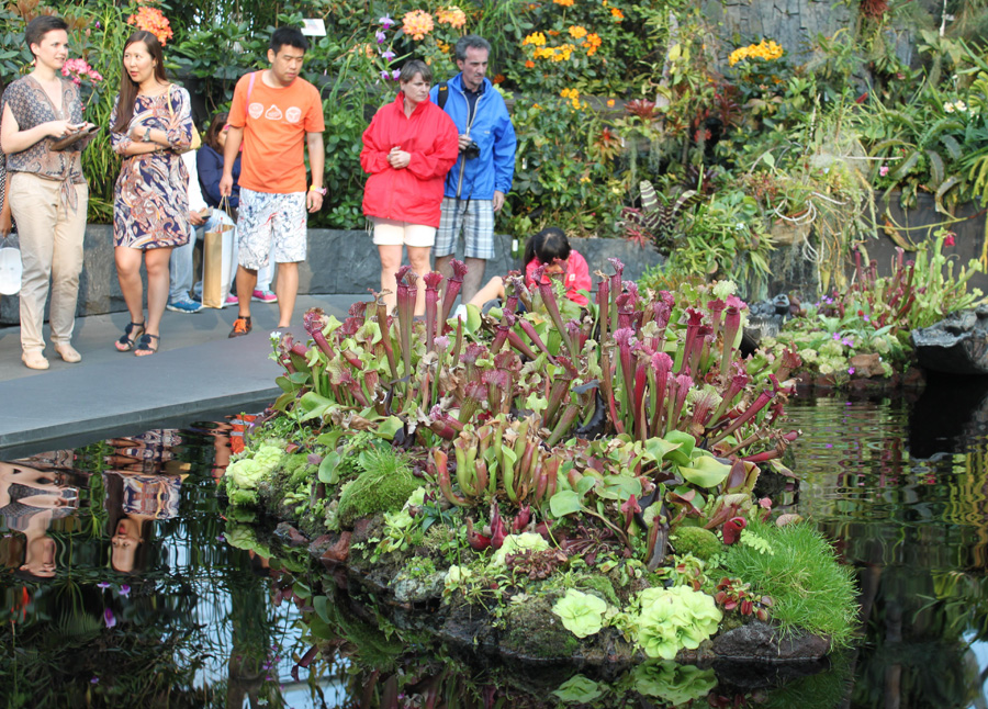 Gardens by the Bay exotic plants