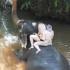 Bade med elefanter