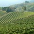 Vin, slow food og stenhuse i Piemonte