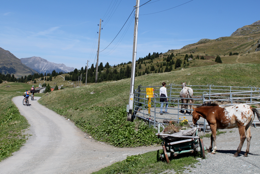 Østlige Schweiz-Alp Flix Agritourismus
