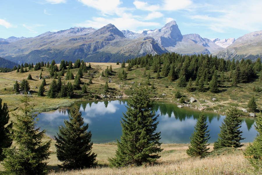 Østlige Schweiz-Alp Flix